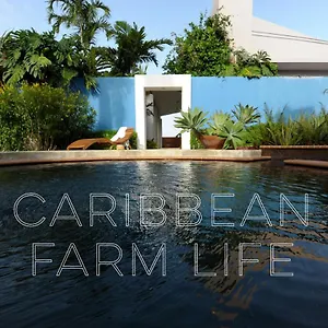4 Casitas Bed and breakfast